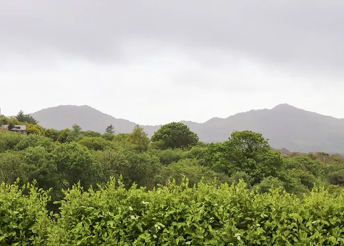 Ceol Na N\'Ean
